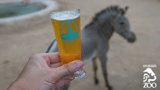 Brew at the LA Zoo is BACK [upl. by Mcdonald514]