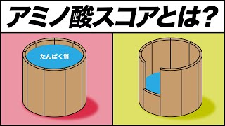 アミノ酸スコア100の食材とアミノ酸の桶理論を解説【ビーレジェンド プロテイン】 [upl. by Eadas591]