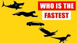 Speed Comparison Worlds Fastest Animals [upl. by Doris]