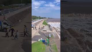 The Qiantang River tide is as fierce as a tiger The rolling waves are shocking but also full of [upl. by Cherey207]