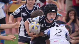 Torneo Nacional de Escuelas Rugby 2017 [upl. by Denney]