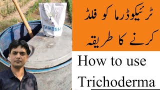 How to use Trichoderma in your field  Dr Jamil Shafi  Plant Clinics [upl. by Annaerdna]