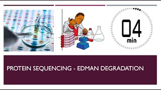 Protein Sequencing  Edman Degradation [upl. by Friede]