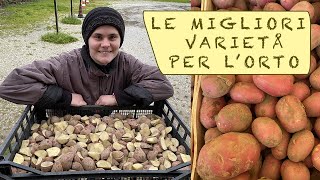 le MIGLIORI varietà di PATATE da SEME  i miei consigli [upl. by Nolahc]