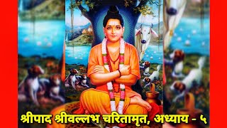 श्रीपाद श्रीवल्लभ चरितामृत अध्याय  5 मराठी।  SHRIPAD SHRIVALLABH CHARITAMRUT [upl. by Laundes400]