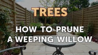 How to Prune a Weeping Willow [upl. by Jablon]