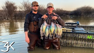 Wading for Giant Mississippi Crappie  Solo Limit In The Ironwoods [upl. by Bellaude]