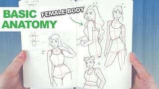 How to Draw the FEMALE BODY 【My EASY Technique for Basic Human Anatomy】 [upl. by Ailehc]