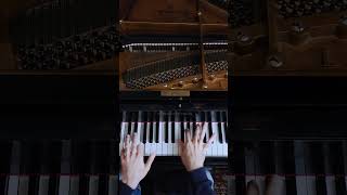 Chopin  quotOceanquot Etude Op 25 No 12 [upl. by Yrrah]