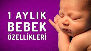 1 Aylık Bebek Özellikleri Nelerdir Yenidoğan Bebekler ● wwwbebektv [upl. by Ecinreb]