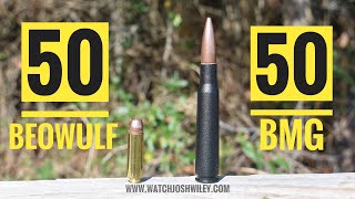 50 Beowulf vs 50 BMG [upl. by Sinned]