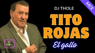 TITO ROJAS EL GALLO MIX SALSA EROTICA DJ THOLE [upl. by Alaecim]