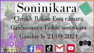 Cheikh Bakou Essa cámara Ganbanaaxu Feddé soninkara le 21092024 [upl. by Camilla731]