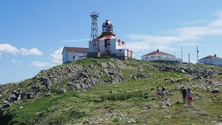 What to do in Bonavista Newfoundland [upl. by Nanyk583]