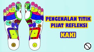 Pengenalan Titik Pijat Refleksi Kaki [upl. by Eirrod]