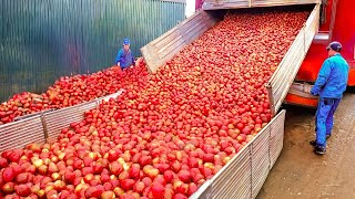 Trabajadores increíbles que están a otro nivel [upl. by Stella]