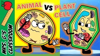 WHAT IS THE DIFFERENCE BETWEEN PLANT AND ANIMAL CELL [upl. by Mill]