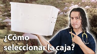 3 Cajas para tu incubadora de honguitos sagrados [upl. by Luahs]