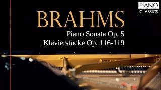 Brahms Piano Sonata [upl. by Arline41]