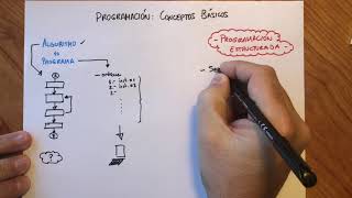 Programación Conceptos Básicos [upl. by Kunz102]