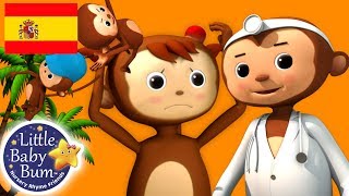 Canciones Infantiles  Cinco Monitos  Dibujos Animados  Little Baby Bum en Español [upl. by Angelika974]