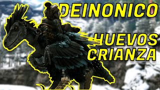 COMO quotTAMEARquot DEINONICO y TODAS SUS HABILIDADES PC PS y XBOX  ARK VALGUERO [upl. by Htebazil114]