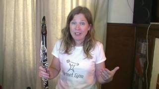 A Clarinet Practise Guide  Succeed More Quickly [upl. by Nomelihp]