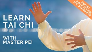 Tai Chi for Beginners  Best Instructional Video for Learning Tai Chi  Lesson 2 [upl. by Nnylakcaj248]