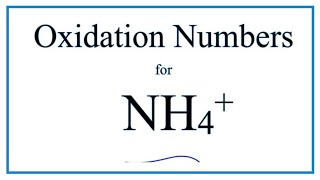 How to find the Oxidation Number for N in the NH4 ion Ammonium ion [upl. by Ainolopa297]