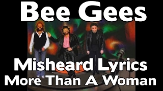 The Bee Gees  Misheard Lyrics  More Than A Woman [upl. by Heymann331]