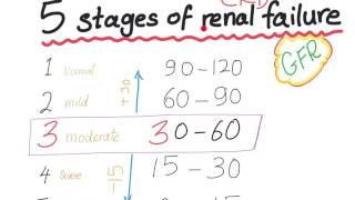 Mnemonic the 5 Stages of chronic kidney disease based on GFR [upl. by Ayikaz648]