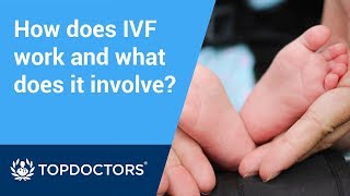 How does IVF treatment work and what does the procedure involve [upl. by Hannon]