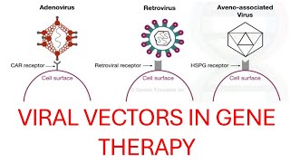 Viral Vectors Overview [upl. by Oby]