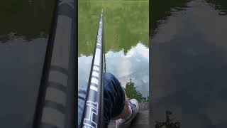 Daiwa Power Carp X 1450m [upl. by Ali771]