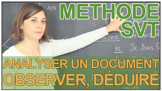 Analyser un document  observer et déduire  SVT  Les Bons Profs [upl. by Allertse355]