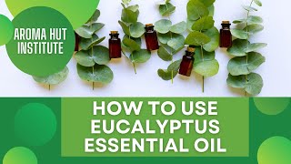 How to Use Eucalyptus Oil [upl. by Kirschner]