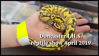 IHS Doncaster Reptile show April 2019 [upl. by Sateia564]