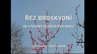 Řez broskvoní  od výsadby do desátého roku 1 díl [upl. by Pearle]