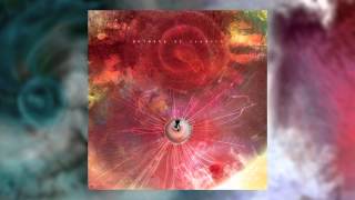 ANIMALS AS LEADERS  Crescent [upl. by Eelyk]