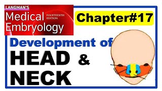 Langman Chapter17  Embryology of Head and Neck  Embryology  Dr Asif Lectures [upl. by Gearard159]