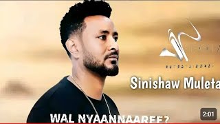 sinishàw muleta wal nyaannaaree new Ethiopian music oromgha official video [upl. by Flower]