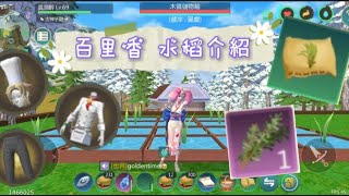 烏托邦起源～新食材【百里香、水稻】介紹（莫莫） [upl. by Malim]