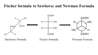 How to convert Fischer Projection into Sawhorse and Newman Projection [upl. by Noedig]