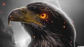 Eagle Eye 3D Animation Intro After Effect  No Copyright  No Text [upl. by Tallu650]