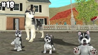 Dog Sim Online  Siberian Husky  Android  iOS  Gameplay part 18 [upl. by Vanessa]