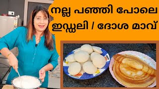 How To Make The Perfect Idli Dosa Batter അടിപൊളി ഇഡ്ഡലി  ദോശ മാവിന്റെ കൂട്ട്  Lekshmi Nair [upl. by Dragoon]