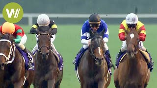 La folie des courses de chevaux au Japon  Christophe Lemaire à la Japan Cup [upl. by Ris308]