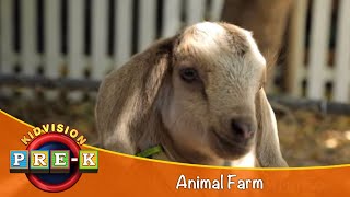 Animal Farm  Virtual Field Trip  KidVision PreK [upl. by Alveta195]