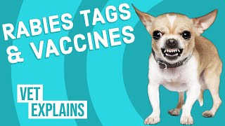 Rabies Vaccine amp Tag [upl. by Quent]