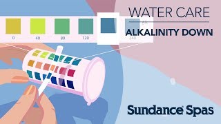 How to Lower Your Water Alkalinity [upl. by Iggam282]